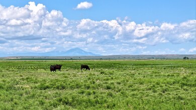 48999 County Road 48, Model, CO 81059 - photo 4