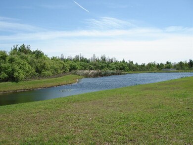 9630 Baton Rouge Ln, Land O Lakes, FL 34638 - photo 7