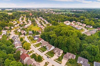 Drone View