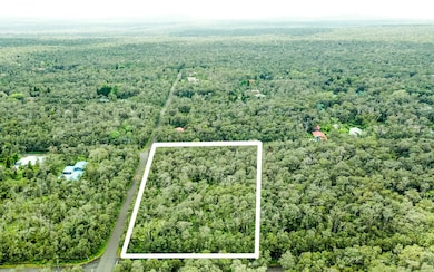 0 Ruby Ave, Volcano, HI 96785 - photo 4