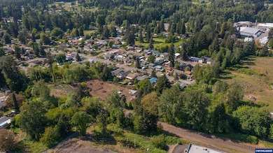 Parcel 1 - 1400 Nandina St, Sweet Home, OR 97386 - photo 5