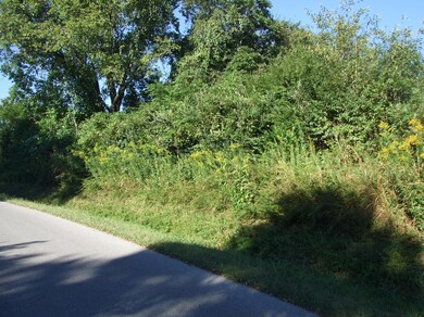 Picture 011