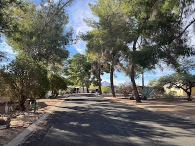 3950 E Hawser St unit 6, Tucson, AZ 85739 - photo 6