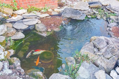 Koi Pond