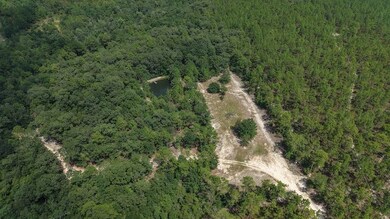 4264 Cleveland Rd unit LotWP001, Milton, FL 32570 - photo 4