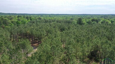 Birds eye view of property featuring a view of tre