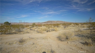 6919 Sierra Ave, Joshua Tree, CA 92252 - photo 5