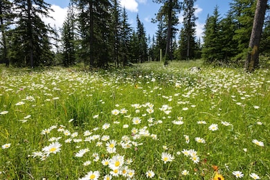 Lot 9 Block 8 Woodland Way, South Lawrence, SD 57754 - photo 3