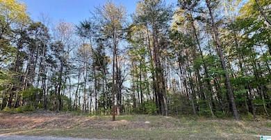 1485 Hiawatha Rd, Calera, AL 35040 - photo 2