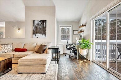 14 Ellis Ave unit 8, Saratoga Springs, NY 12866 - photo 5