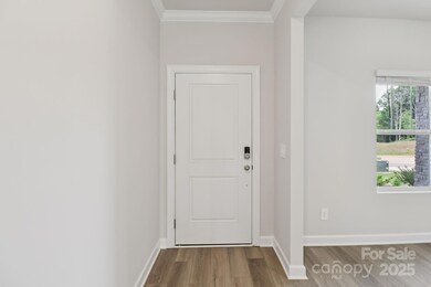 1916 Silver Canoe Way, Stanley, NC 28164 - photo 2