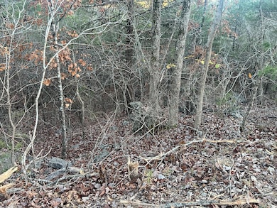 790 Pomme de Terre Rd, Scott Township, MO 65616 - photo 5