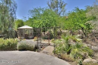 Desert Oasis