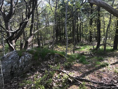 7 Ledge Pasture Ln, York, ME 03902 - photo 5