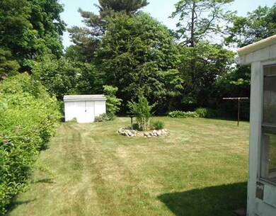 Yard/Garden.