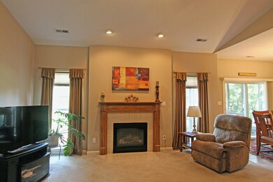 Living Room Fireplace