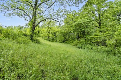5-web-or-mls-DSC04082
