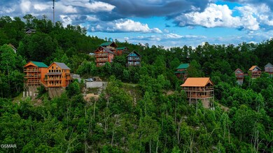 DJI_0889