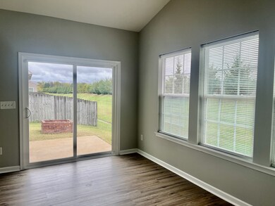 2703 Candlewick Ct, Murfreesboro, TN 37127 - photo 6