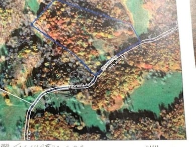 TBD Rich Hills Rd, Monterey, VA 24465 - photo 5