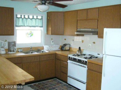 0 Langhorn Dr unit 1000213483, Mathias, WV 26812 - photo 6