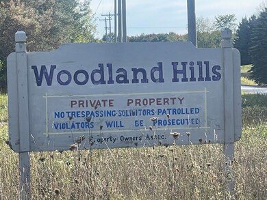 11234 White Ash Trail, Vanderbilt, MI 49795 - photo 6