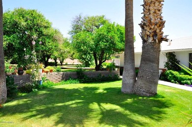 Front Yard[1]
