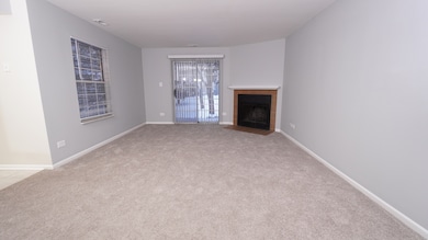 123 Willow Brook Ct unit 3, Schaumburg, IL 60195 - photo 4