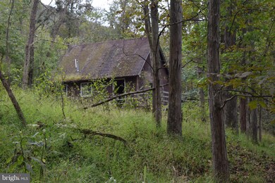 595 Mountain River Way, Springfield, WV 26763 - photo 4