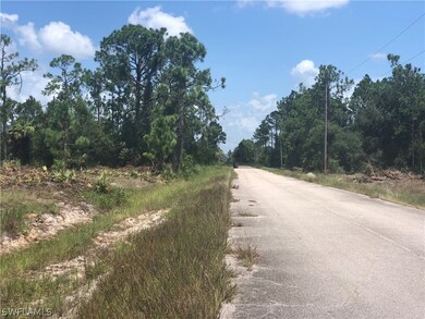 313 Wells Ave, Lehigh Acres, FL 33936 - photo 5