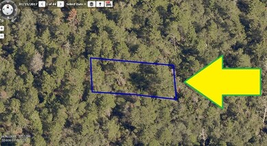 00000 No Access 16th St, Titusville, FL 32780 - photo 4