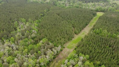 0 Pugh Rd, Shubuta, MS 39360 - photo 6