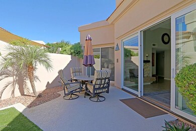 Backyard 3