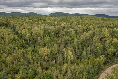 406-03 W Forest Lake Rd, Bethlehem, NH 03574 - photo 6