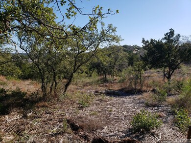 0 Linwood Ridge unit 1363591, Other, TX 78255 - photo 3