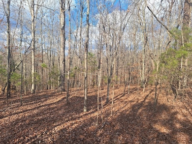 0 Circle g Dr, Lawrenceburg, TN 38464 - photo 6