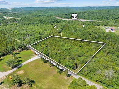 000 Newport, Walnut Shade, MO 65771 - photo 2