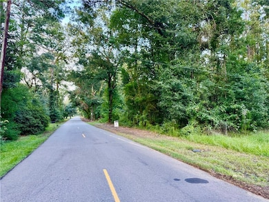 TBD 3 E Charbonnet Rd, Ponchatoula, LA 70454 - photo 3