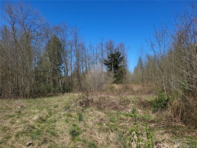 56 300th St NW, Stanwood, WA 98292 - photo 2