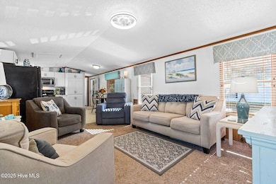 5-web-or-mls-CAMMediaLLC.com 7077-11