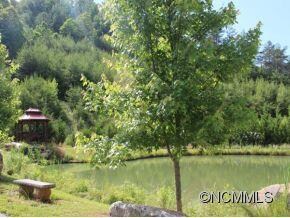 unlisted-address, Leicester, NC 28748 - photo 3