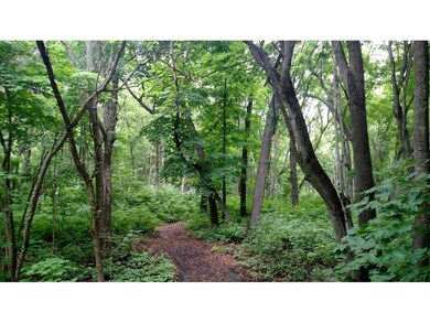 Walking Trail into the property