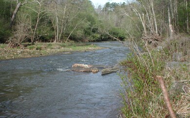 Additional View