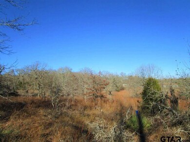 00 Brentwood Dr, Athens, TX 75751 - photo 2