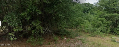 00 Patton St, Hamlet, NC 28345 - photo 3