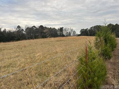 80 Spires Rd, Damascus, AR 72039 - photo 3