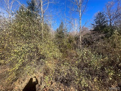 0 Rue de la Paix unit MIS25077778, Bonne Terre, MO 63628 - photo 6