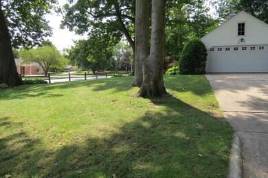 IMG_3601