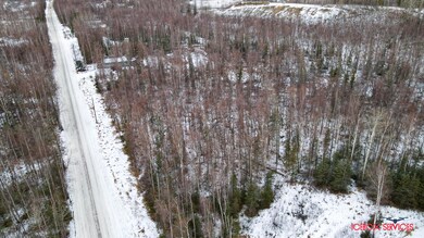 3101 W Marble Way, Wasilla, AK 99654 - photo 3