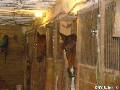 Stable/Barn